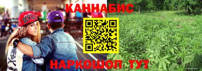 СК Донецк
